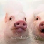 Avatar de Alejandra Reyes